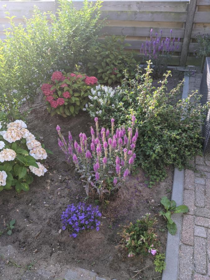 Logies21 Texel Bed & Breakfast Oosterend  Dış mekan fotoğraf